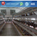 Silver Star Chicken Layer Cage / Poultry Layer Cage / Battery Layer Cage System